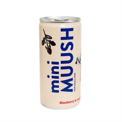 Muush Blueberry and Raspberry Functional Soda 200ml