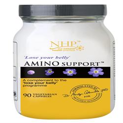 Natural Health Practice Amino Support 90 Capsules