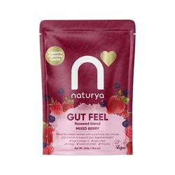 Naturya Naturya Gut Feel Flaxseed Blend Mixed Berry 240g