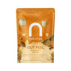 Naturya Naturya Gut Feel Flaxseed Blend Tropical 240g