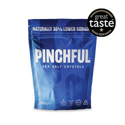 Pinchful FREE Pinchful Sea Salt Refill Pouch 250g