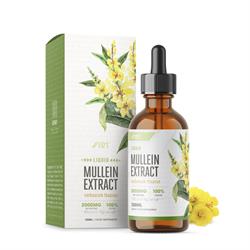 Alpha01 Alpha01 Mullein Extract Tincture 2000mg 60ml