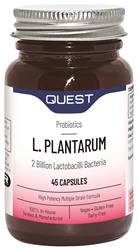 Quest L PLANTARUM