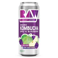Raw Health Organic RAW Kombucha- Apple and Blackberry 250ml