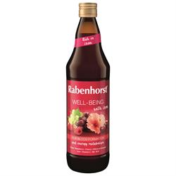 Rabenhorst Rabenhorst Well-Being with Iron 750ml