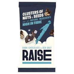 RAISE Snacks Dark Chocolate & Sea Salt Clusters of Nuts and Seeds 35g