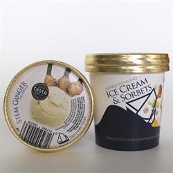 Salcombe Dairy Salcombe Dairy Stem Ginger Ice Cream 120ml
