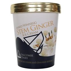 Salcombe Dairy Salcombe Dairy Stem Ginger Ice Cream 120ml