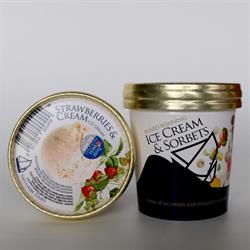 Salcombe Dairy Salcombe Dairy Strawberry & Cream Ice Cream 120ml