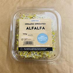 Skysprouts Organic Sprouted Alfalfa 100g