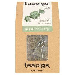 Teapigs Peppermint leaves 40 tea temples