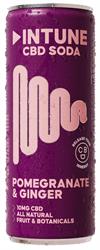 Intune Intune Pomegranate & Ginger 10mg Natural CBD Drink 250ml