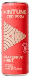Intune Intune Grapefruit & Mint 10mg Natural CBD Drink 250ml