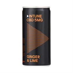 Intune Intune Ginger & Lime Mixers 5mg CBD Drink 200ml