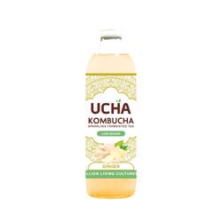 Ucha Kombucha Ucha Kombucha Ginger 350ML