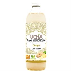 Ucha Kombucha Ucha Kombucha Ginger 350ML