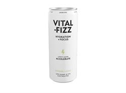 Vital Fizz Accelerate - Ginger & Mint Lions Mane Drink 250ml