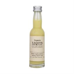 Virtue Ginger Organic Liquid Herbs - 40ml