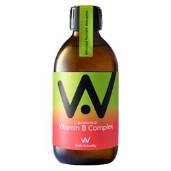 Well Actually Vitamin B Complex - Liposomal Liquid High Absorption 250ml