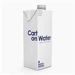 Water Works Carton Water 1Ltr - Lighter on the Planet