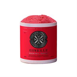 Xin and Voltaire Cocktail Sorbet: Giselle - Tequila Champagne & Raspberry 125ML