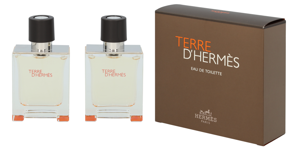 Hermes Terre D'Hermes Duo Set 100 ml