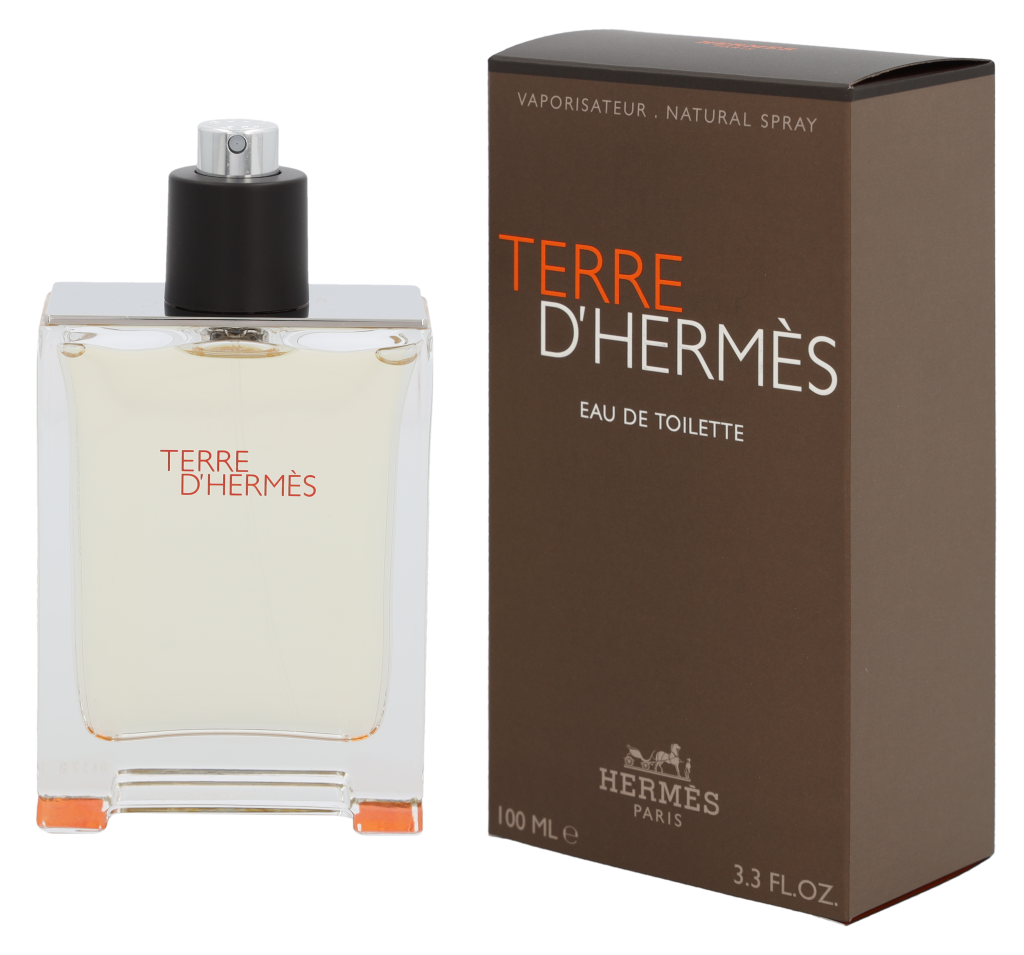 Hermes Terre D'Hermes Edt Spray 100 ml