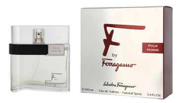 S. Ferragamo F Pour Homme Edt Spray 100 ml