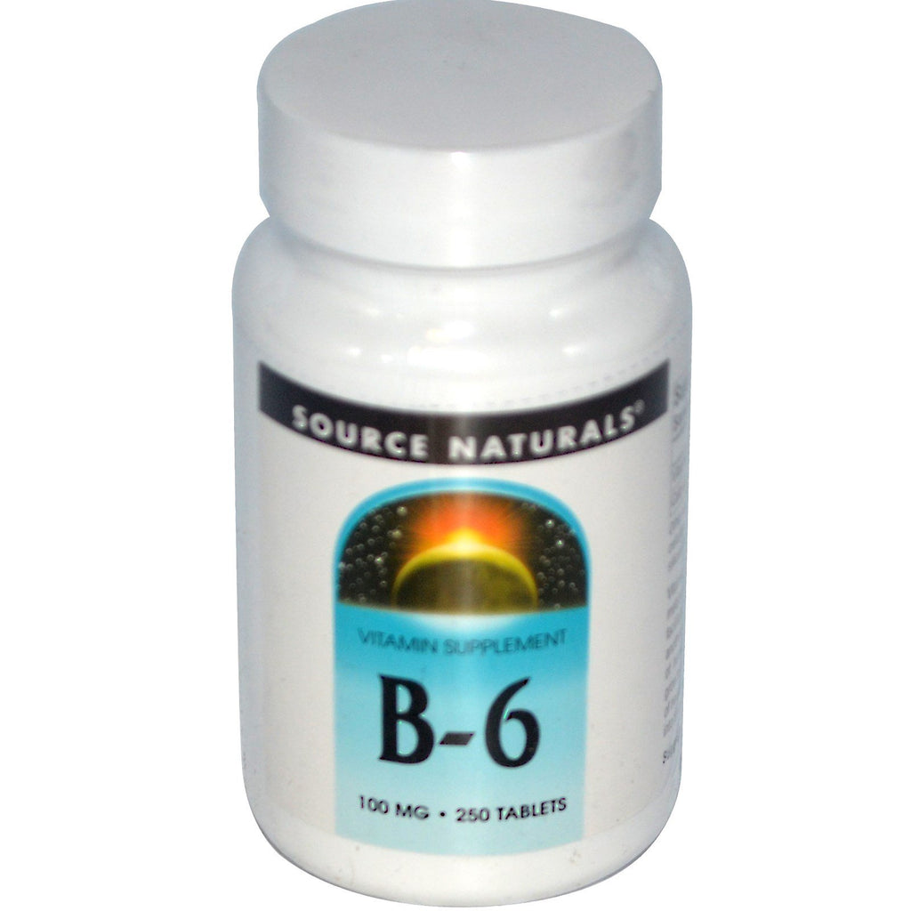 Source Naturals、B-6、100 mg、250 錠