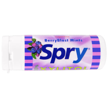 Xlear Spry BerryBlast Mints 45 ספירה 25 גרם