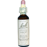 Bach, Original Flower Remedies, Larch, 0.7 fl oz (20 ml)