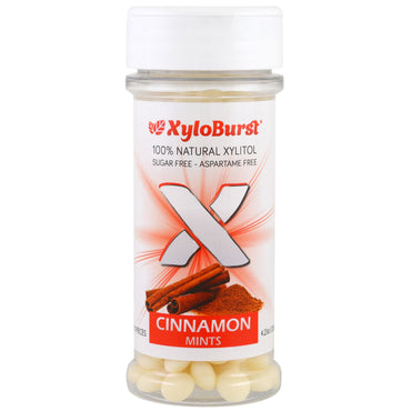 Xyloburst Cinnamon Mints 200 חתיכות 4.23 אונקיות (120 גרם)
