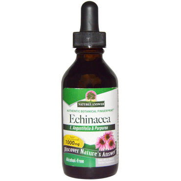 Nature's Answer, Echinacea, alkoholfrei, 1000 mg, 2 fl oz (60 ml)