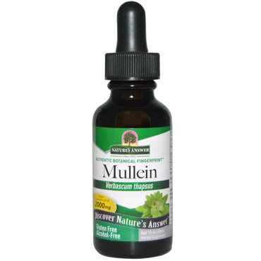 Nature's Answer, Mullein, fără alcool, 2000 mg, 1 fl oz (30 ml)