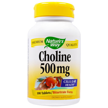 Nature's Way, Choline, 500 mg, 100 Tablets