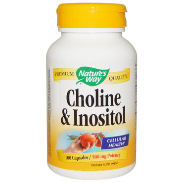 Nature's Way, Choline et Inositol, 500 mg, 100 gélules