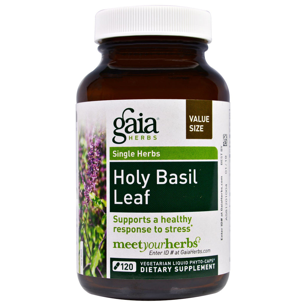 Herbes Gaia, feuille de basilic sacré, 120 phyto-caps liquides végétariens