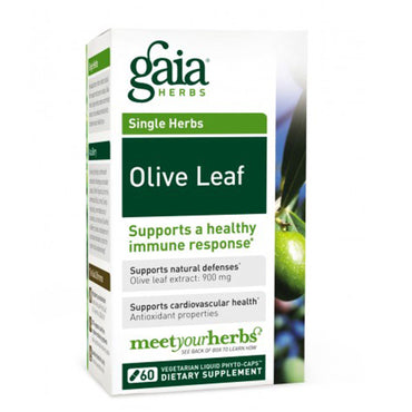 Gaia Herbs, أوراق الزيتون، 60 كبسولة نباتية سائلة