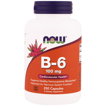 Now Foods, B-6, 100 mg, 250 Capsules