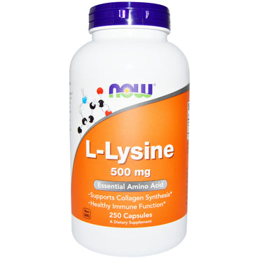 Nu voedingsmiddelen, L-Lysine, 500 mg, 250 capsules
