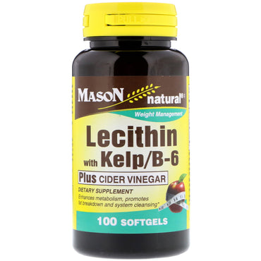 Mason Natural, Lecithin mit Kelp/B6 Plus Apfelessig, 100 Kapseln