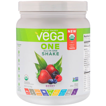 Vega, One, Shake Tudo-em-Um, Baga, 344 g (12,1 oz)