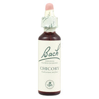 Chicory 20ml (order in singles or 130 for trade outer)