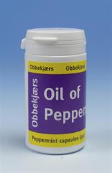 Obbekjaers Oil Of Peppermint 90 כובעים (להזמין ביחידים או 12 למסחר חיצוני)