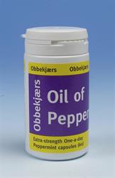 Obbekjaers Extra Strength OAD Oil of Peppermint 60 כמוסות (הזמנה ביחידים או 12 למסחר חיצוני)