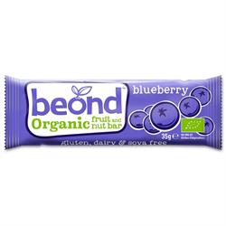 Organic Blueberry Fruit & Nut bar 35g (order 18 for retail outer)