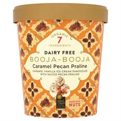 Caramel Pecan Praline Dairy Free Ice Cream 500ml (order in multiples of 2 or 6 for trade outer)