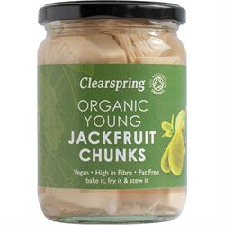 Organic Young Jackfruit Chunks 500g