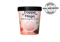 Grapefruit & Bergamot Ice Cream 125ml (order in singles or 12 for trade outer)