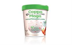 Glace Vegan Coco &amp; Fraise 125 ml (commander en simple ou 12 pour le commerce extérieur)